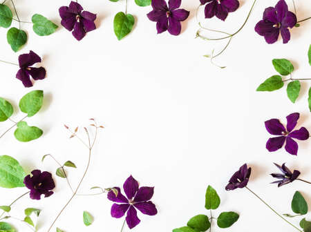 Frame of purple clematis flowers and leaves isolated on white. Top view. Copy spaceの写真素材