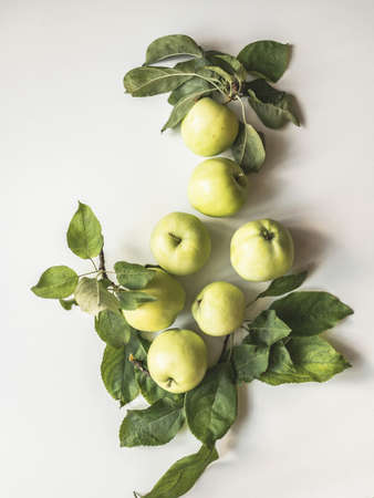 Composition of green apples and leaves on a white background. Wallpaper of fruits.Top view, flat lay.の写真素材
