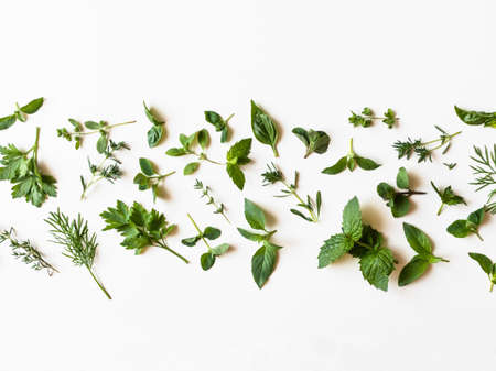 Flat-lay of various fresh green kitchen herbs. Parsley, mint, dill, basil, marjoram, thyme on a white background, top view. Spring or summer healthy vegan cooking concept. copy spaceの写真素材