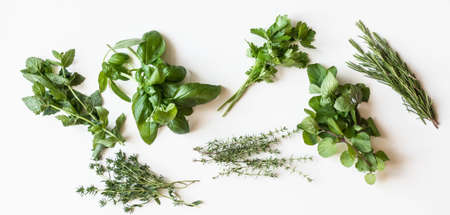 Flat-lay of various fresh green kitchen herbs. Parsley, mint, savory, basil, rosemary, thyme on white background, top view. Spring or summer healthy vegan cooking conceptの写真素材