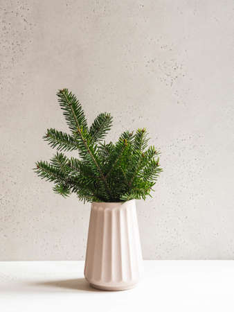 Minimalistic christmas composition with fir branches in modern ceramic vase on gray background. Front view. Copy spaceの写真素材