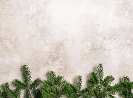 Border twigs of green fresh evergreen spruce on brown texture background. Top viewの写真素材