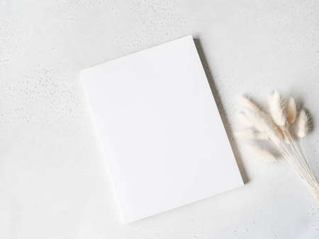 White magazine cover mockup and white lagurus on light gray background. top view. Copy spaceの写真素材