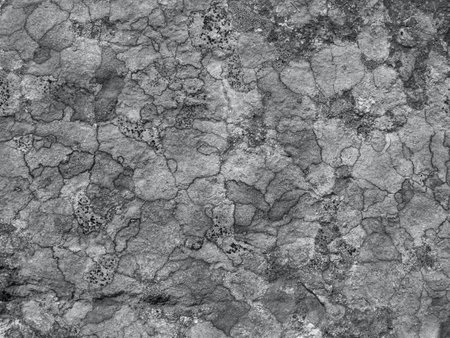 Ultimate gray abstract stone surface pattern. Rock stone background. Copy space. Top viewの写真素材