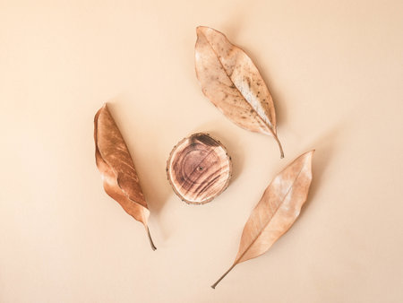 Small wood podium with a natural leafs on beige background. Place, background for cosmetics. Top view. Copy spaceの写真素材
