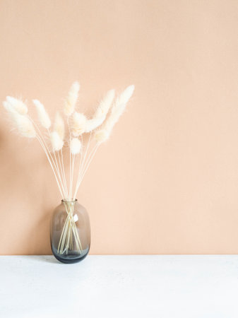 Still life of white dry lagurus flower in gray glass vase on beige background. Front view. Copy spaceの写真素材