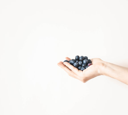 Hands holding fresh blueberries on white background. Front view. copy space. Minimalismの写真素材