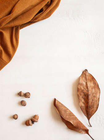 Frame from brown sweater, fall leaf and acorns on white background. Top view. copy space. Minimal autumn compositionの写真素材