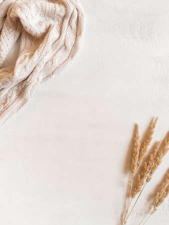 Frame from knitted, woolen sweater and dry glass bouquet on white background. Top view. copy space. Minimal autumn compositionの写真素材