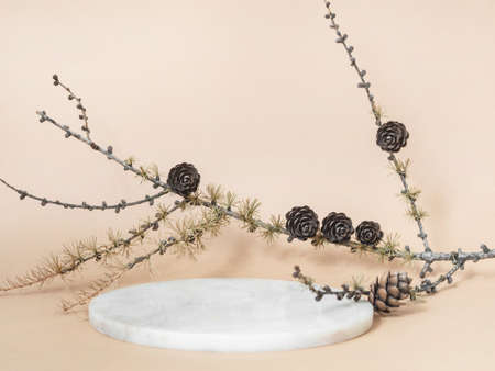 Marble white round podium and larch branch on beige background. Place, background for cosmetics. front view. copy spaceの写真素材