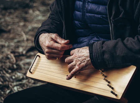 Unidentified elderly man plays the harp. Man's hands plucking the stringsの写真素材