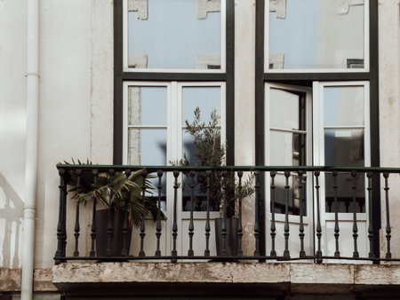 Beautiful balcony in an old building with indoor plants