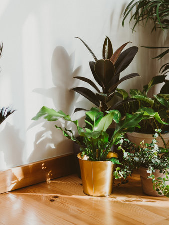 Stylish interior of with many different houseplants Interior with plants in living room on the floor. Composition of home garden plants industrial green interior. Urban jungle interior with houseplants.の写真素材
