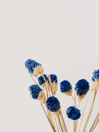 Decorative branch dry plant with blue flowers on white background. front view. Minimal flowers background. front viewの写真素材