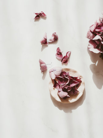 Floral arrangement with pink Hydrangea flowers in small plate, natural floral flat lay in summer seasonal style. Minimal monochrome with shadows. top view. copyspace.の写真素材