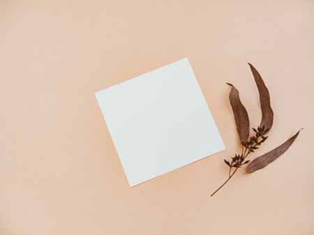 White blank paper square card mockup and dry eucalyptus leaves on beige background. Minimal aesthetic template. Flat lay, top viewの写真素材