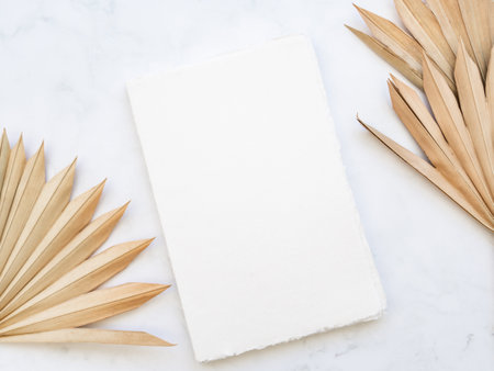 Close up of dried fan shaped tropical palm tree leaves and white vintage notepad cover on white background. top view. copy spaceの写真素材