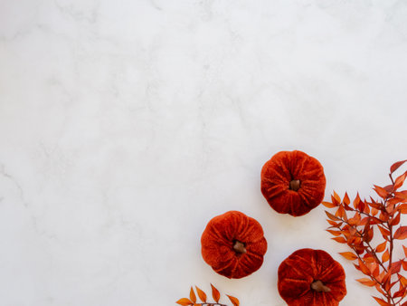 Autumn composition with dark orange color velvet pumpkins and orange dry branch on white background. Autumn, fall, halloween concept, Thanksgiving, wide composition.の写真素材