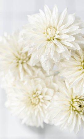 Close up of white dahlia in vase top view. Delicate elegant bouquet on a light background. Flat layの写真素材