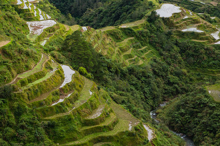 Terraced rice fields in Banaue in Cordilella, Philippinesの写真素材