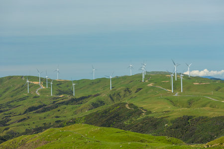 Wind power windmills in Makara near Wellington, New Zealand