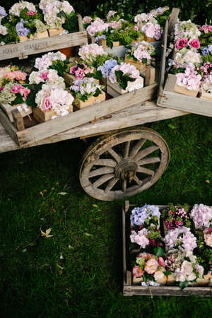 Top view vintage style wooden carriage with trays full of colorful bouquet flowers on summer vibrant green grass lawnの写真素材