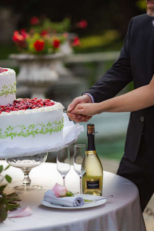 Wedding couple slice wedding fruit cake together with sparkling wine standing in foregroundの写真素材