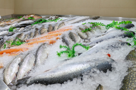 Fresh fish on ice in the marketの写真素材