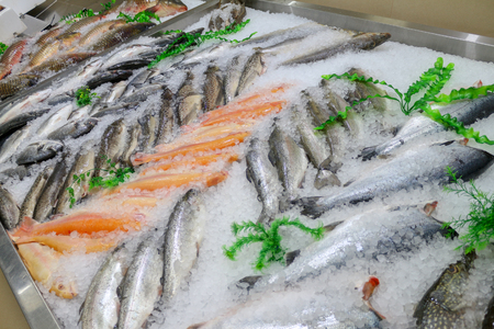 Fresh fish on ice in the marketの写真素材