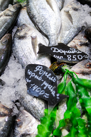 Fresh fish on ice in the marketの写真素材