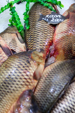 Fresh fish on ice in the marketの写真素材
