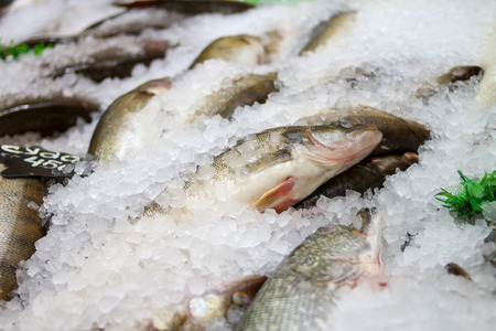 Fresh fish on ice in the marketの写真素材