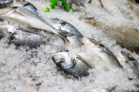 Fresh fish on ice in the marketの写真素材