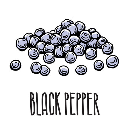 Black pepper peas. Vector isolated spice illustration on white background with inscriptionのイラスト素材