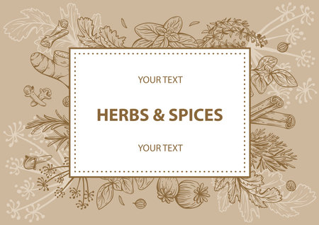 Vector copy space linear illustrations with spices and herbs, basil, parsley, coriander, rosemary, cinnamon, chili, pepper, thyme, turmeric, black pepper, ginger, oregano, cumin, poppy, anise, garlic, dillのイラスト素材