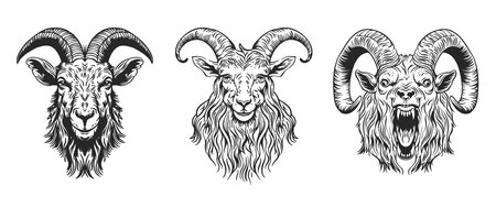 A set of illustrations of farm animals. A hand-drawn goat. Retro style engraving. An aggressive goatのイラスト素材