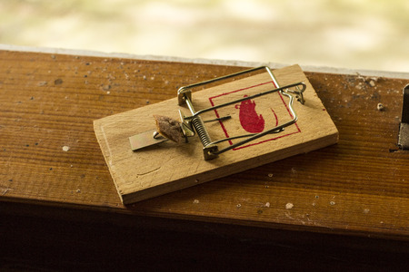 Mousetrapの写真素材