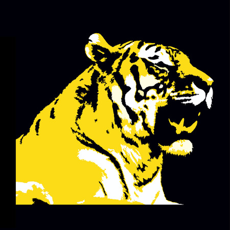 Tiger headのイラスト素材