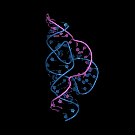 Hammerhead ribozyme is an RNA molecule that catalyzes targeted RNA cleavage and has therapeutic potential.Cartoon model of the full-length form.の写真素材