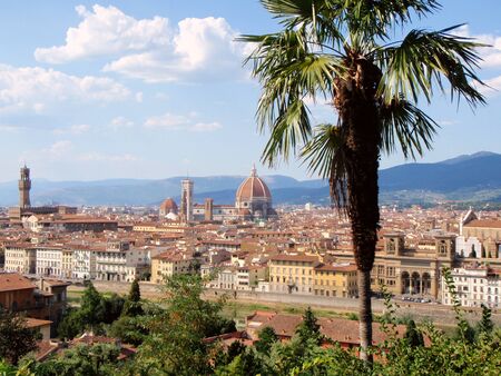 Florence with Santa Maria Del Fiore Cathedral and a palm treeの写真素材
