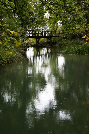 Reflection of a bridge surrounded by green foliage on still waterの写真素材