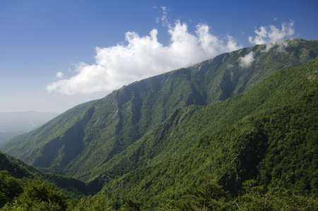 Beautiful white clouds on a clear day over the lush green ridges of Central Balkan National Park, Bulgariaの写真素材