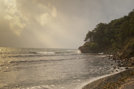 Waves lap against a stony beach in an unspoilt cove where forest meets the seaの写真素材
