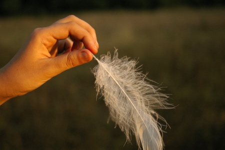 Teenage female hand holding a gentle white feather on the light of the setting sunの写真素材