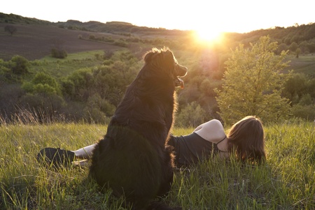Girl and her dog rest in a meadowの写真素材