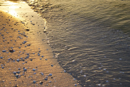 Closeup of calm sea waters meeting a sandy beach in golden sunlight