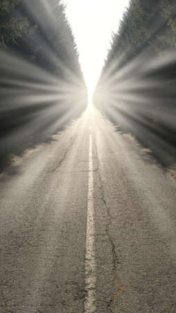 A straight asphalt road disappearing into the distance between lines of trees