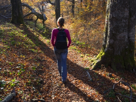 A girl walking in colorful autumn forest high in the mountainsの写真素材