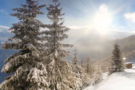 Beautiful morning light shining over the mountain ridge and evergreen trees covered with snowの写真素材