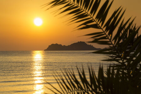 Beautiful golden sunrise on a greek island framed by palm leaves silhouettes.の写真素材